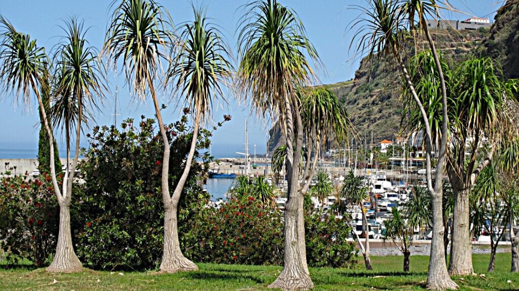m Westen der Insel Madeira