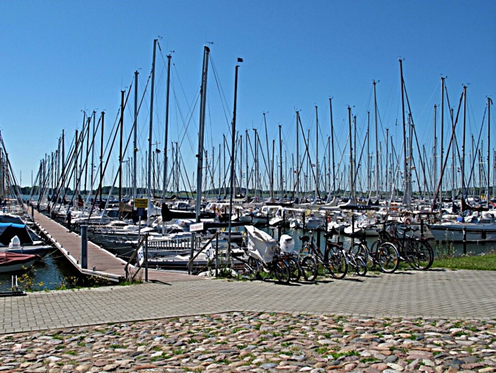 Maasholm