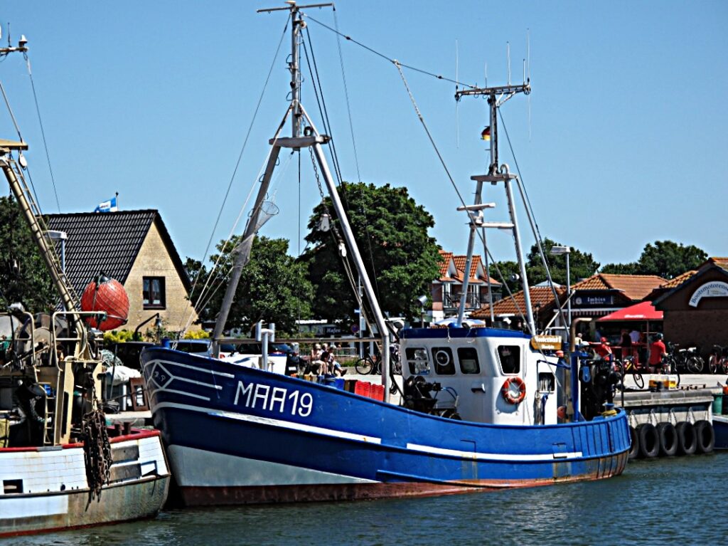 Maasholm