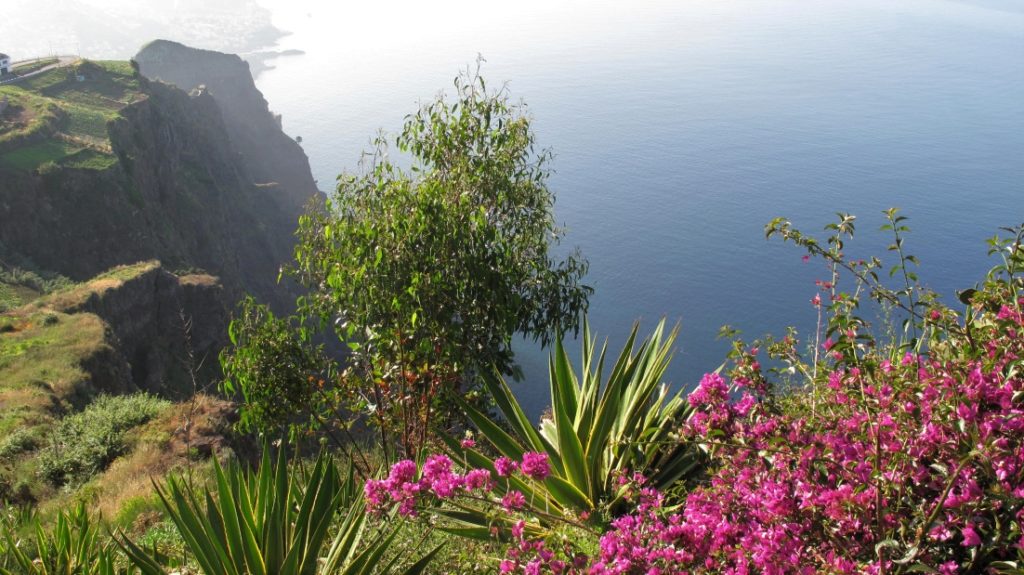 Im Westen der Insel Madeira