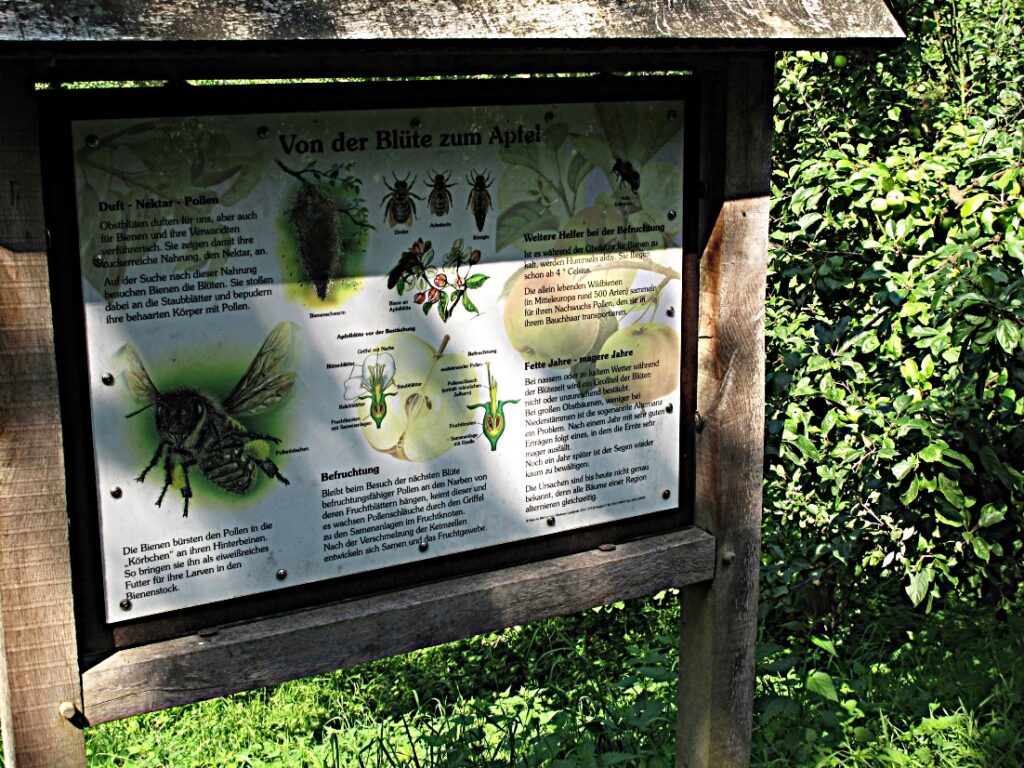 Kurpark Tecklenburg