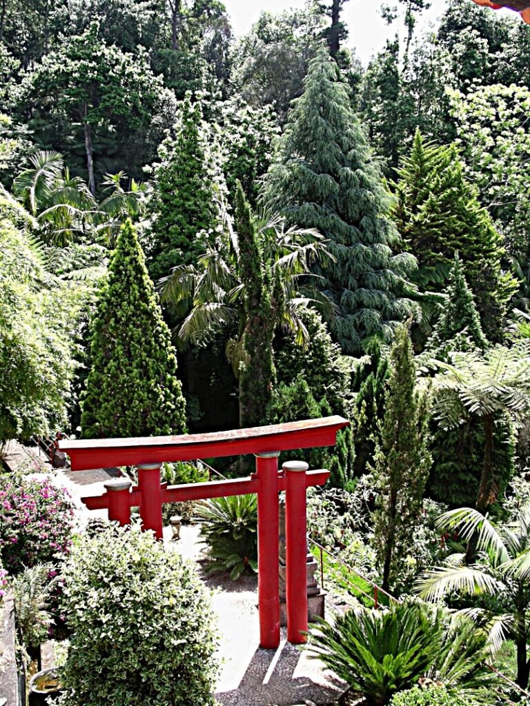Funchal