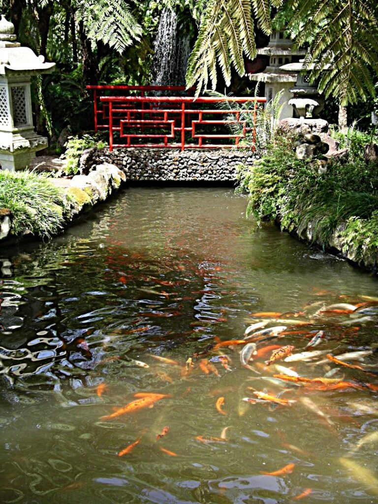 Funchal