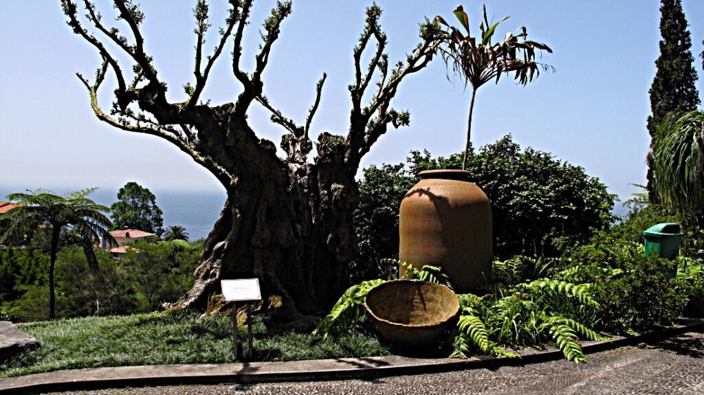 Funchal