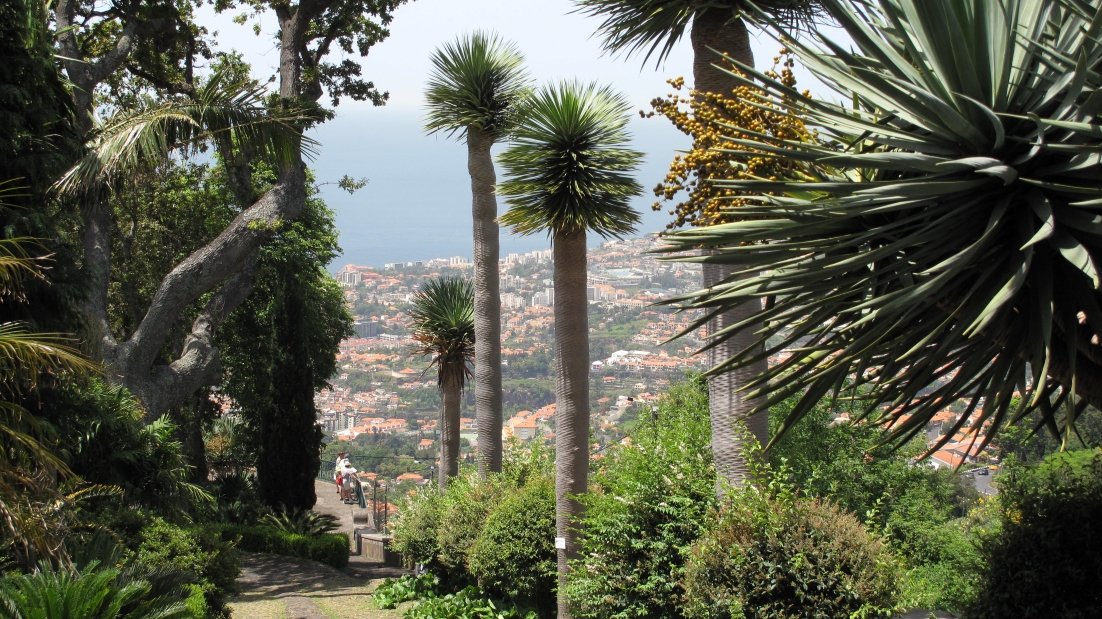 Funchal Tropischer Garten Monte PalaceReiseblog Bis zum Horizont