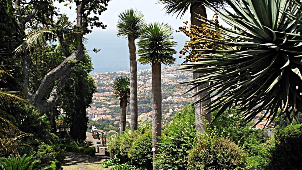 Funchal