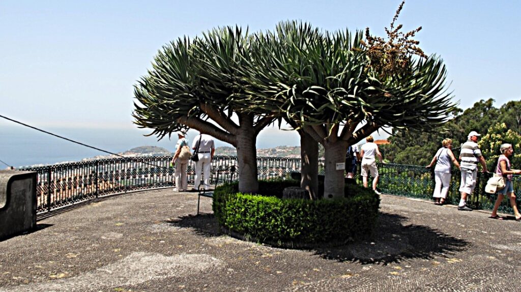 Funchal