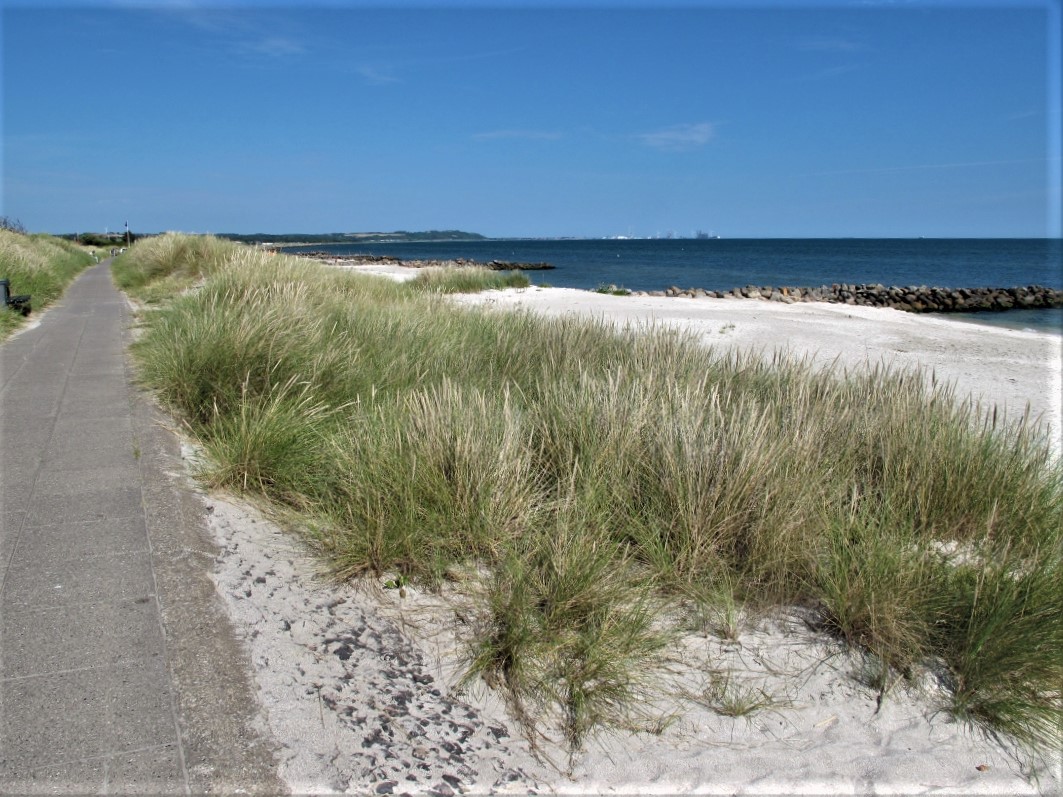 Sæby - Idylle pur in Nordjütland - Bis zum Horizont