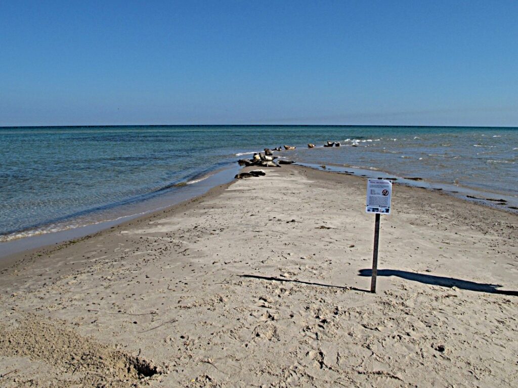Grenen
