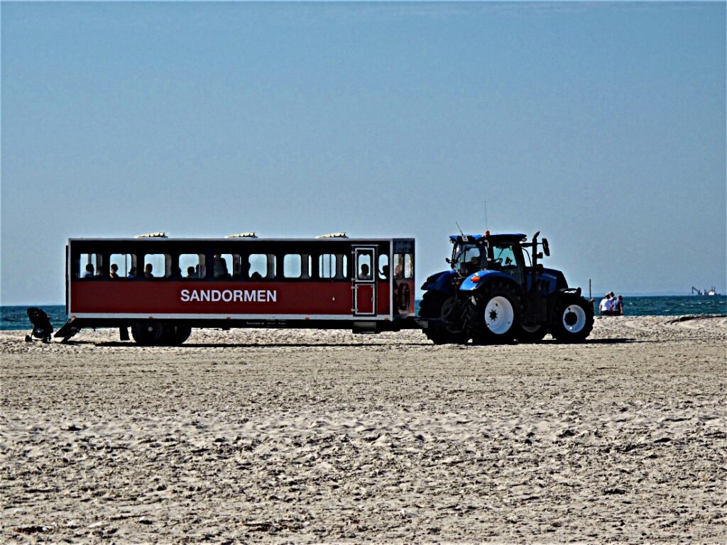 Grenen Sandormen