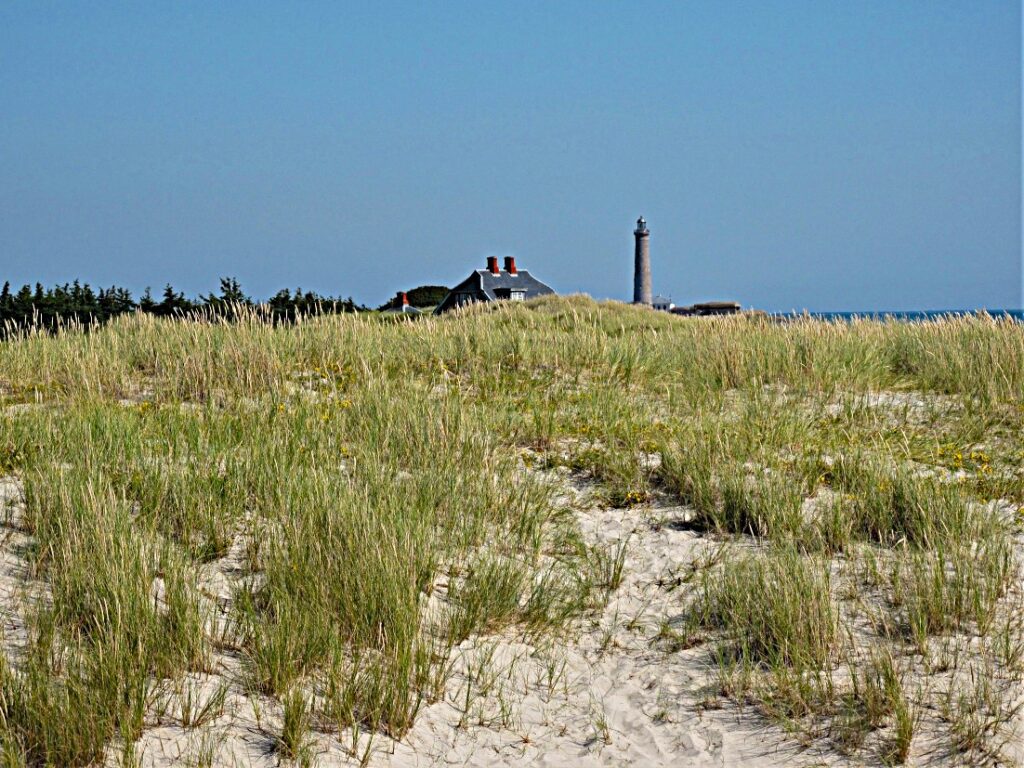 Grenen