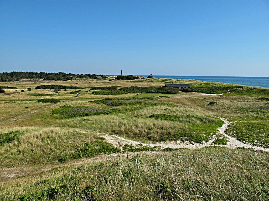 Grenen