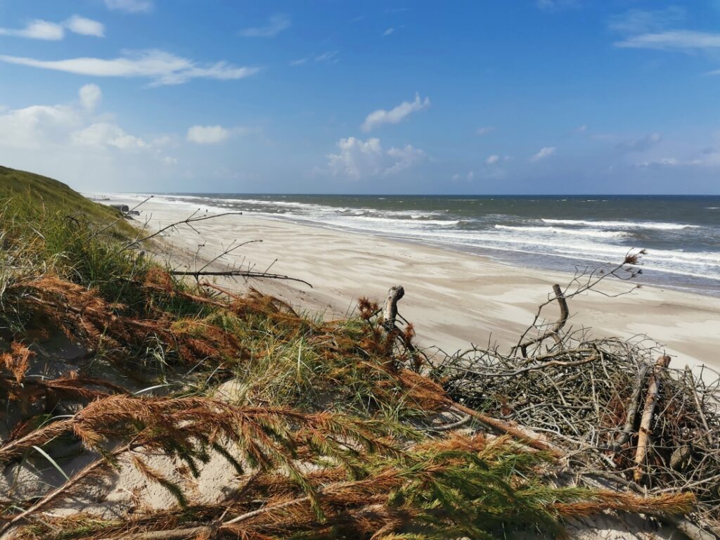 Strand nahe Lodbjerg Hede/Søndervig 