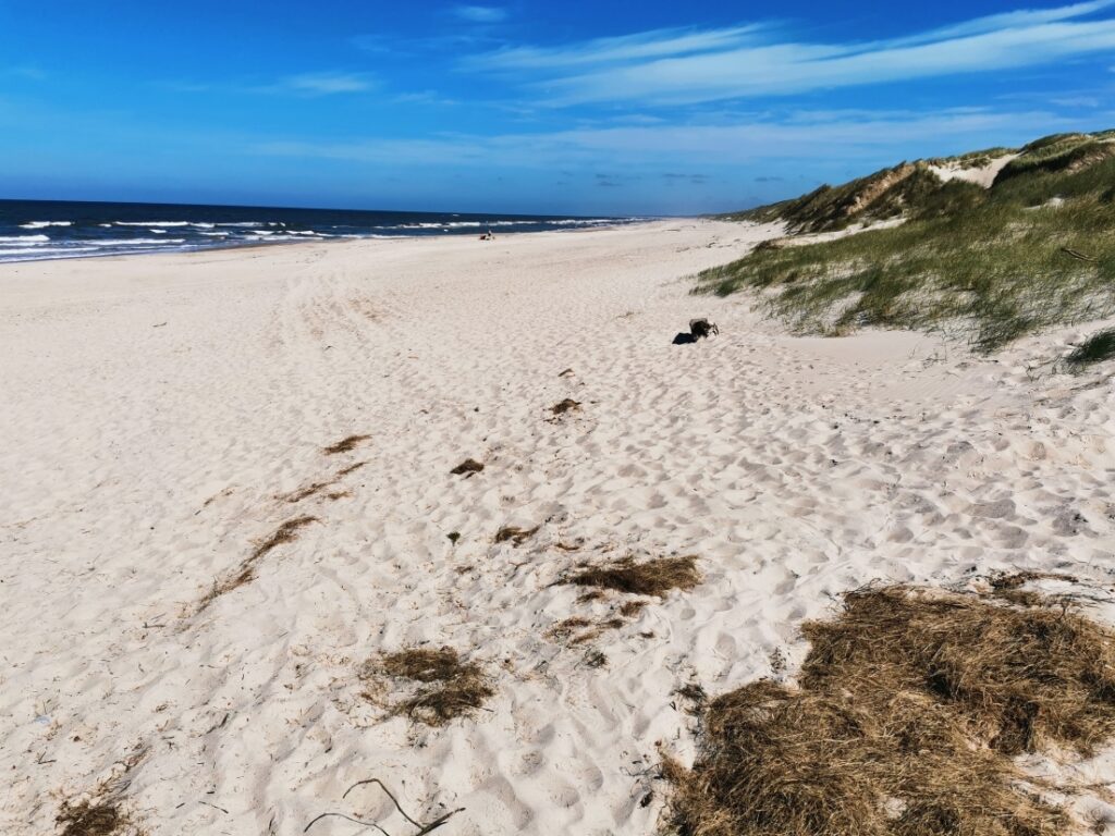 Strand bei Lodbjerg Hede/Søndervig 