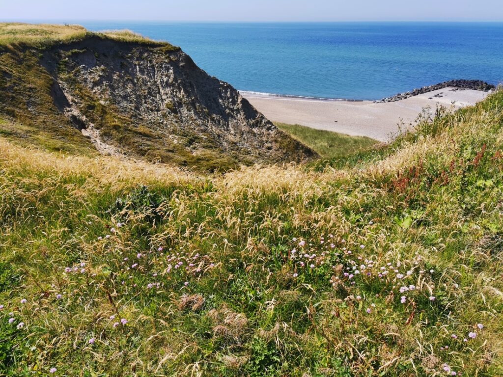 Steilküste am Bovbjerg Fyr