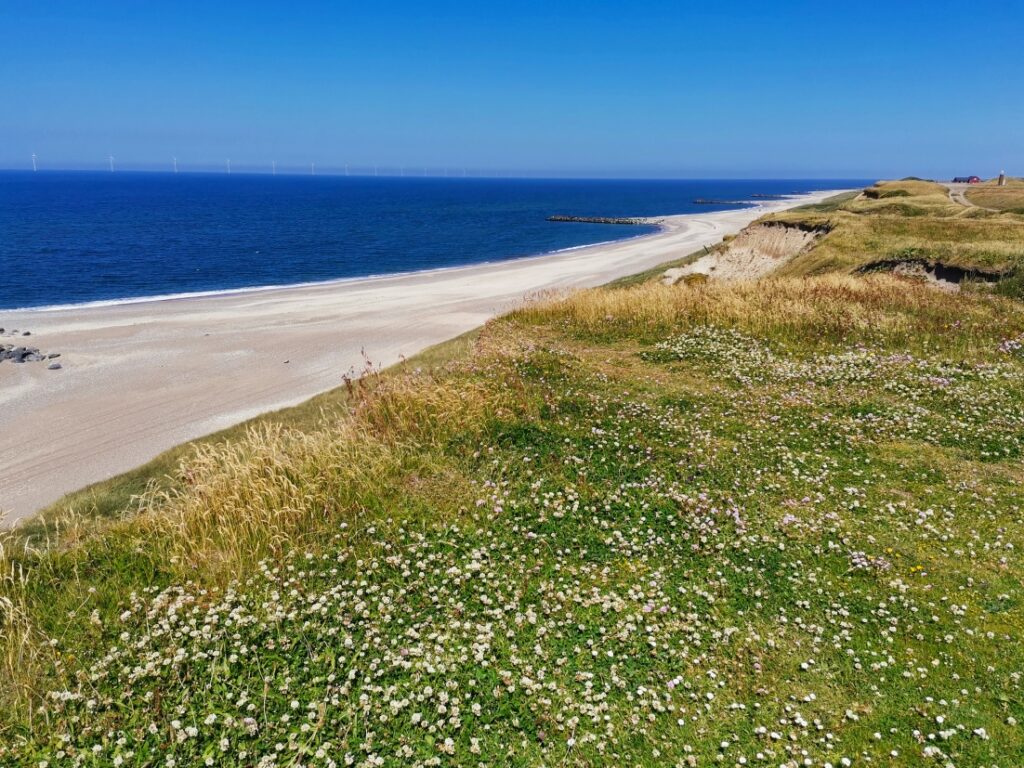 Steilküste am Bovbjerg Fyr