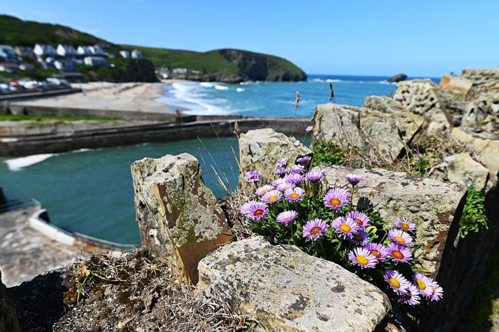 Portreath