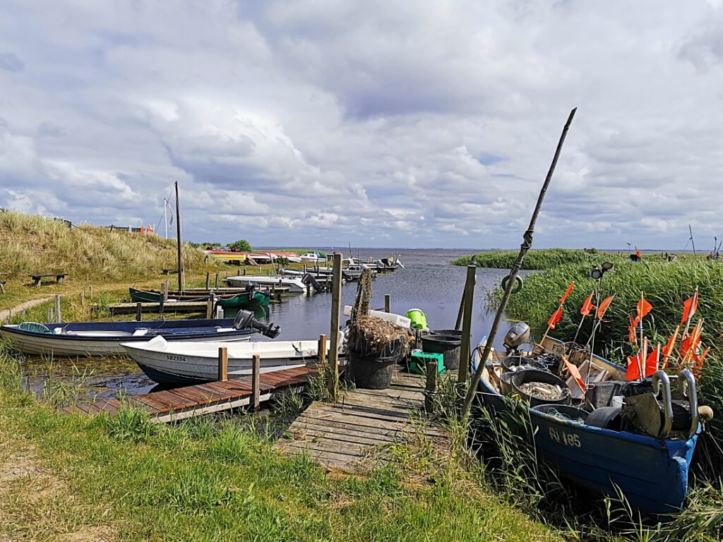 Vinterleje Havn