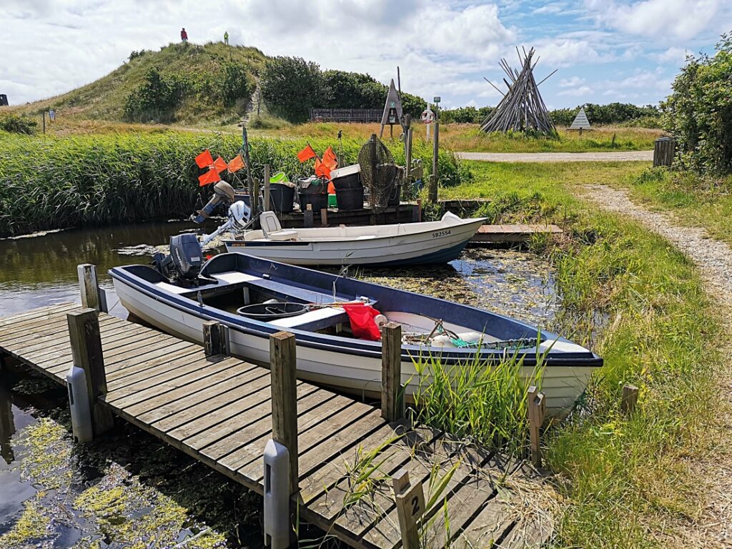 Ringkøbing Fjord