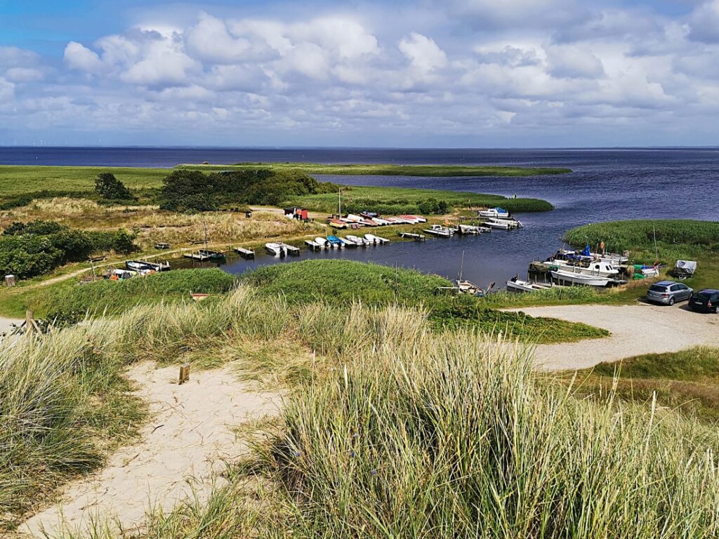 Ringkøbing Fjord