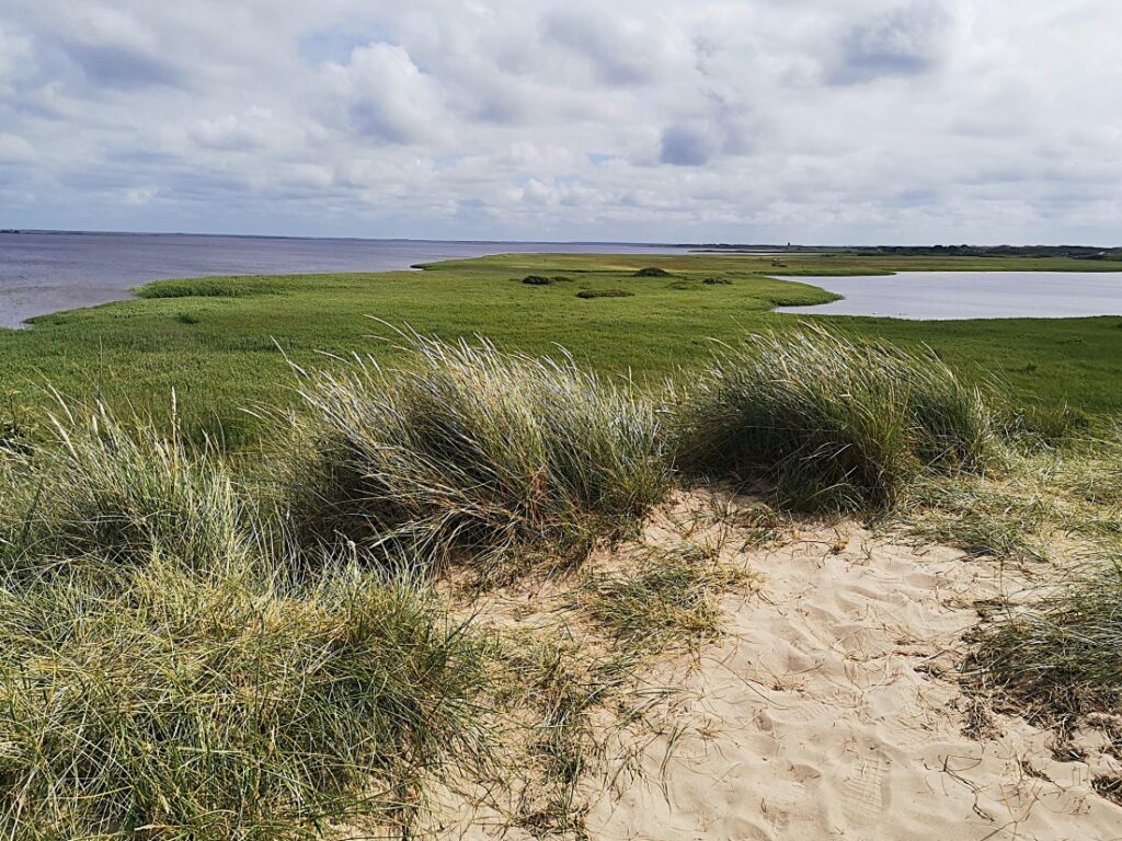 Ringkøbing Fjord