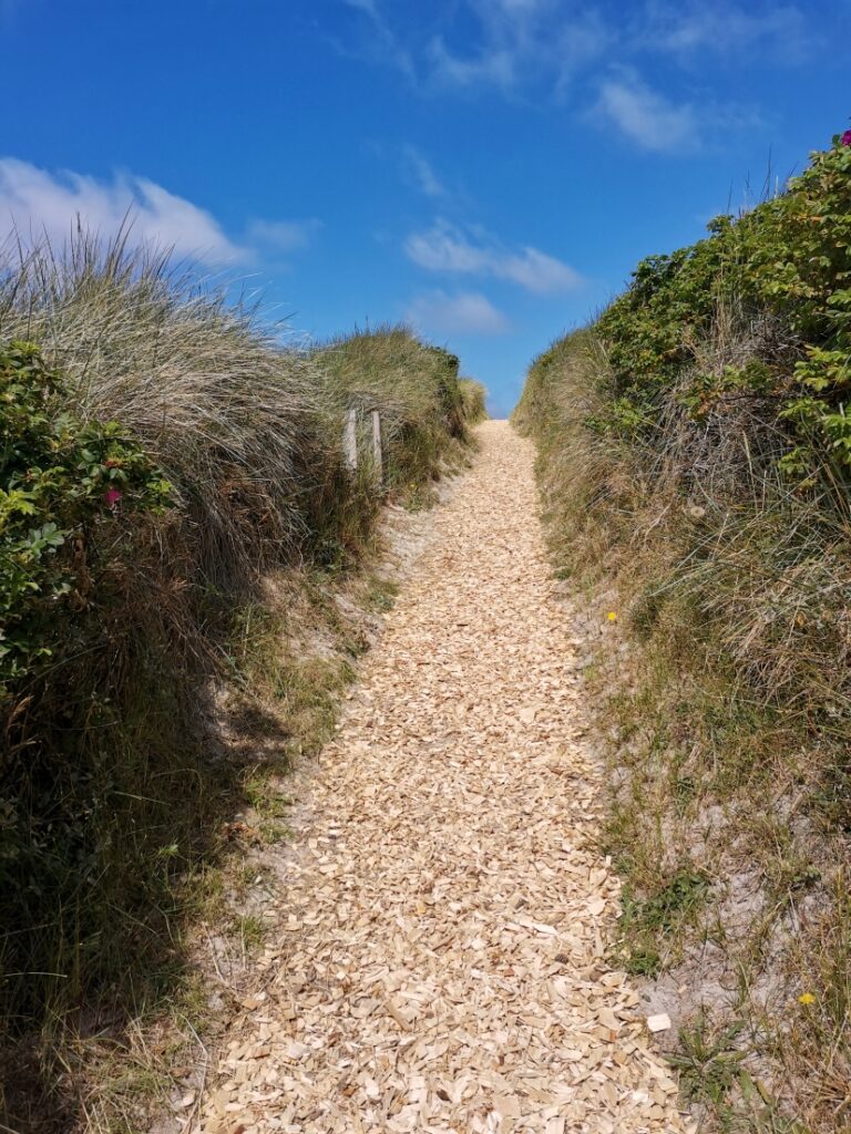 Henne Strand