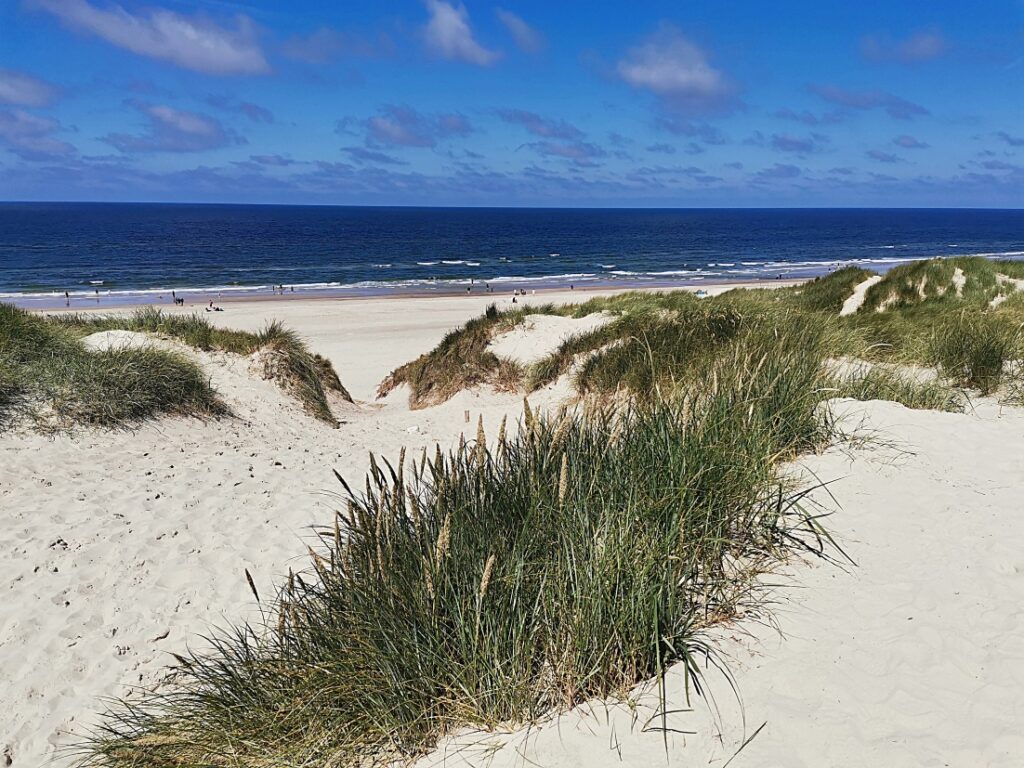 Henne Strand