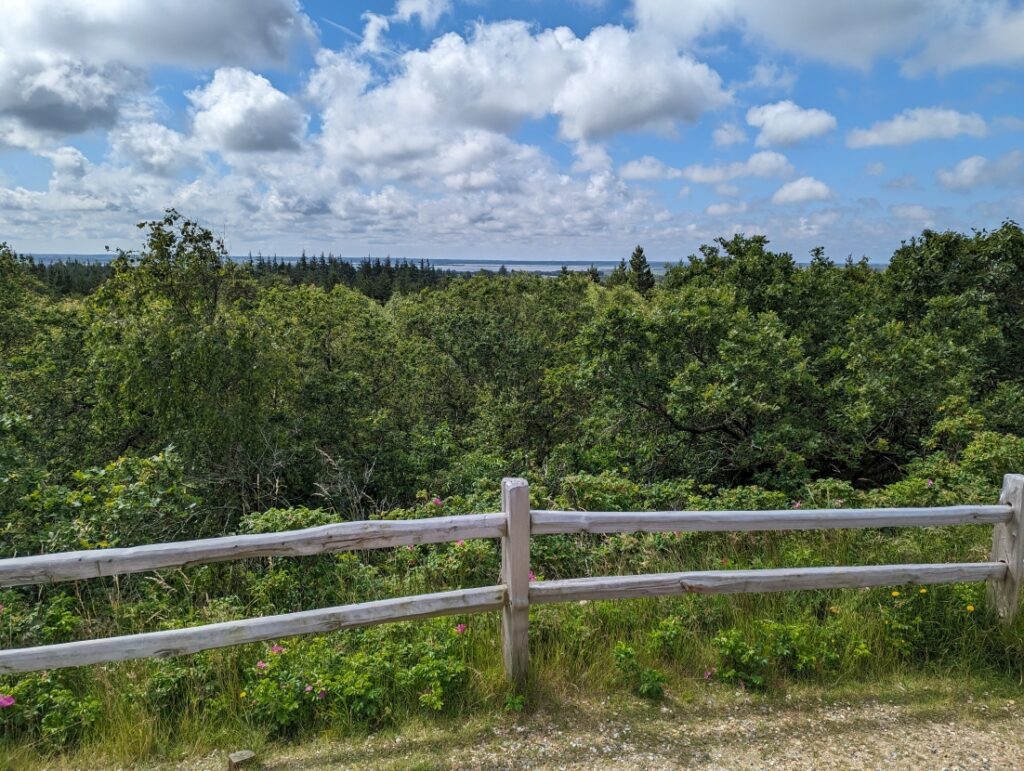 Blåbjerg