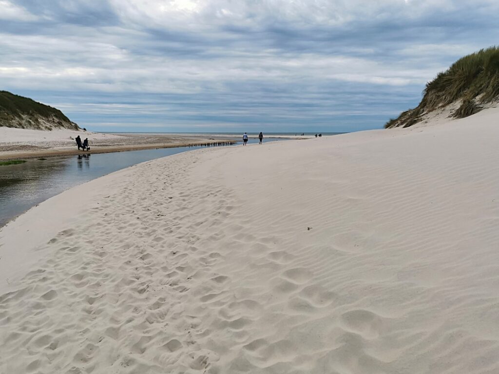 Henne Mølle Å