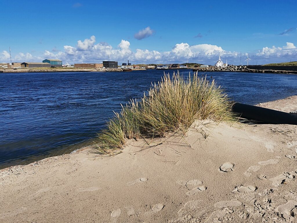 Hvide Sande