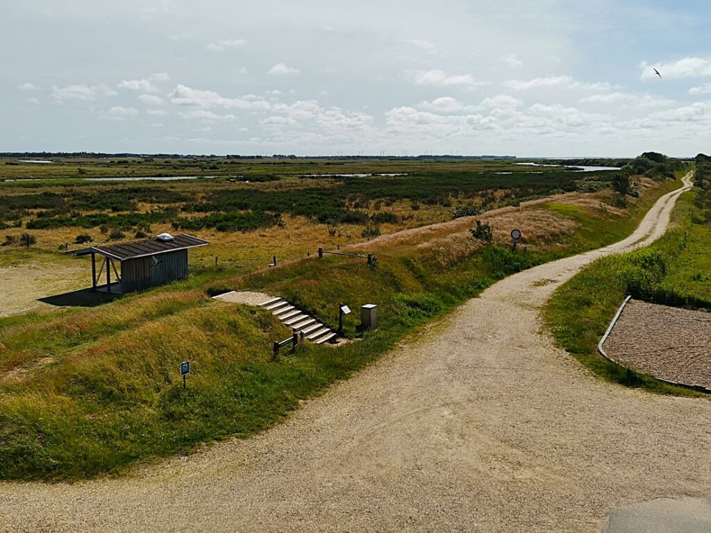 Skjern Enge