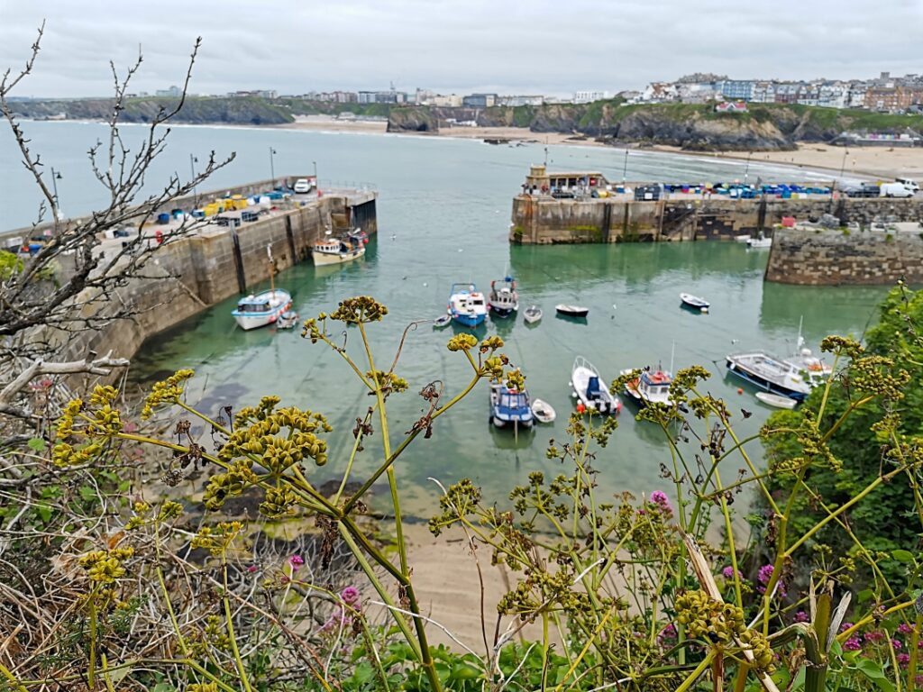 Cornwall Highlights