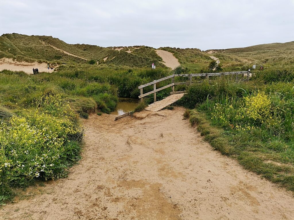 Cornwall Highlights