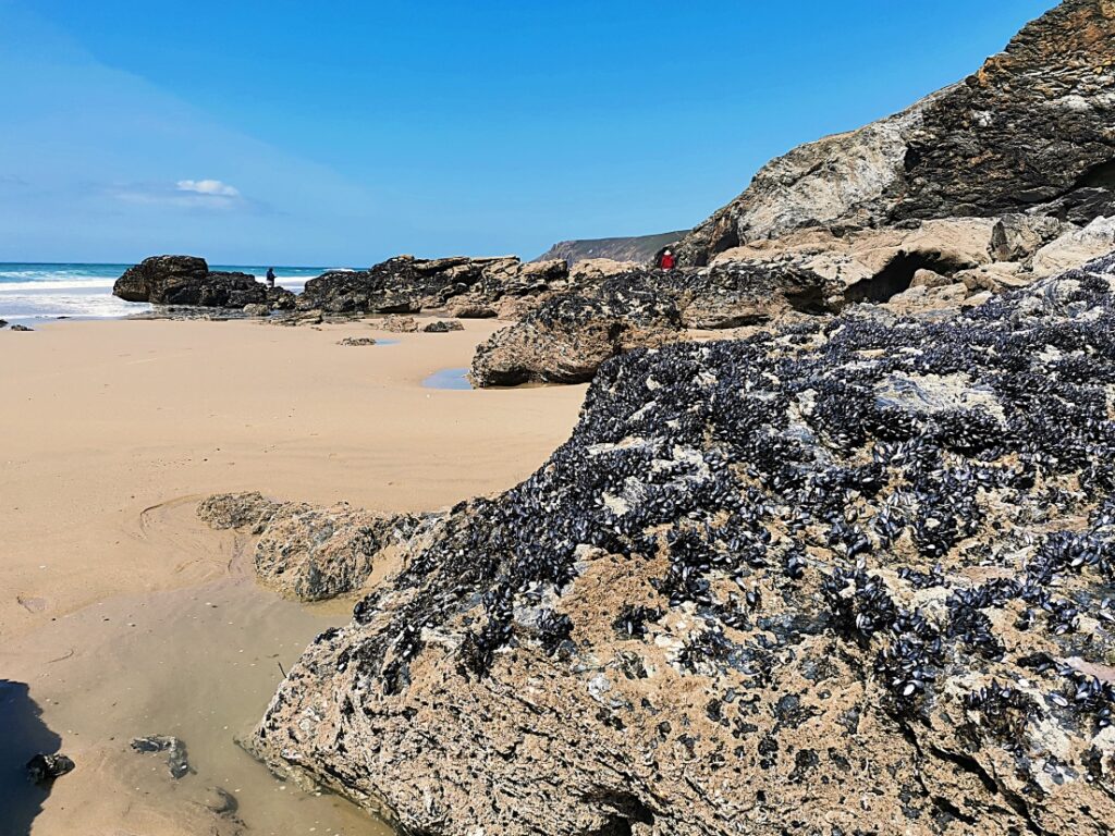 Cornwall Highlights