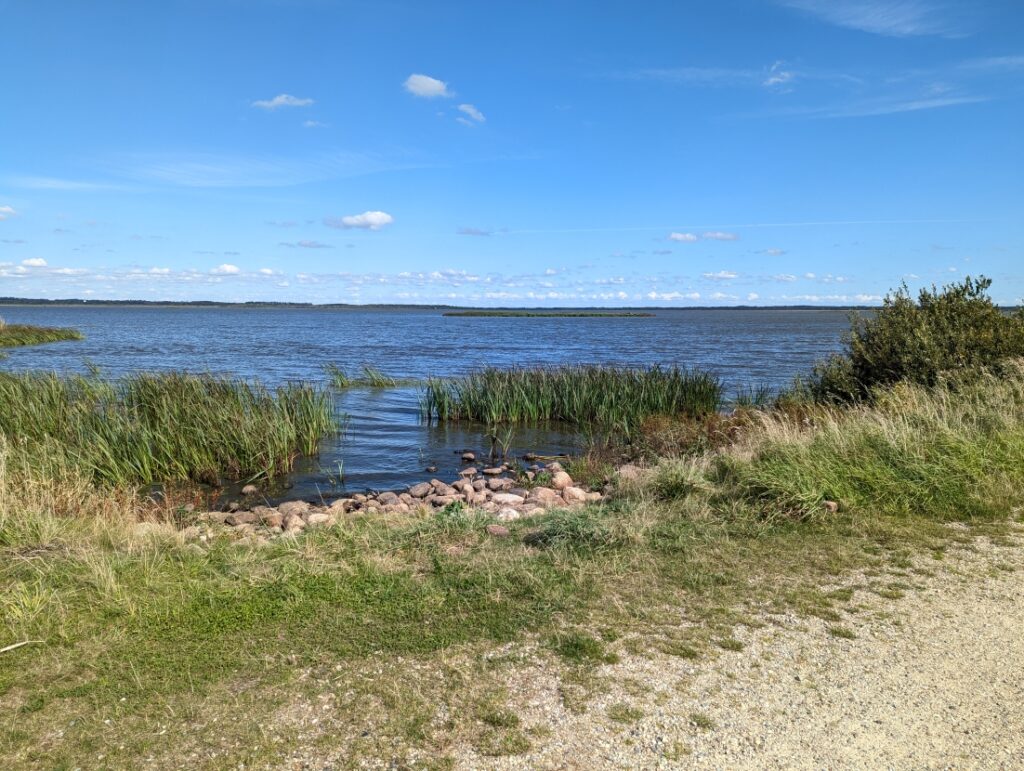 Filsø Naturjuwel
