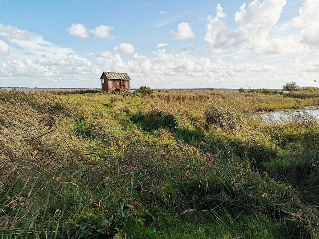 Filsø Naturjuwel