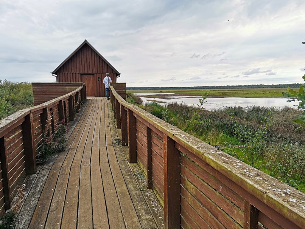 Filsø Naturjuwel