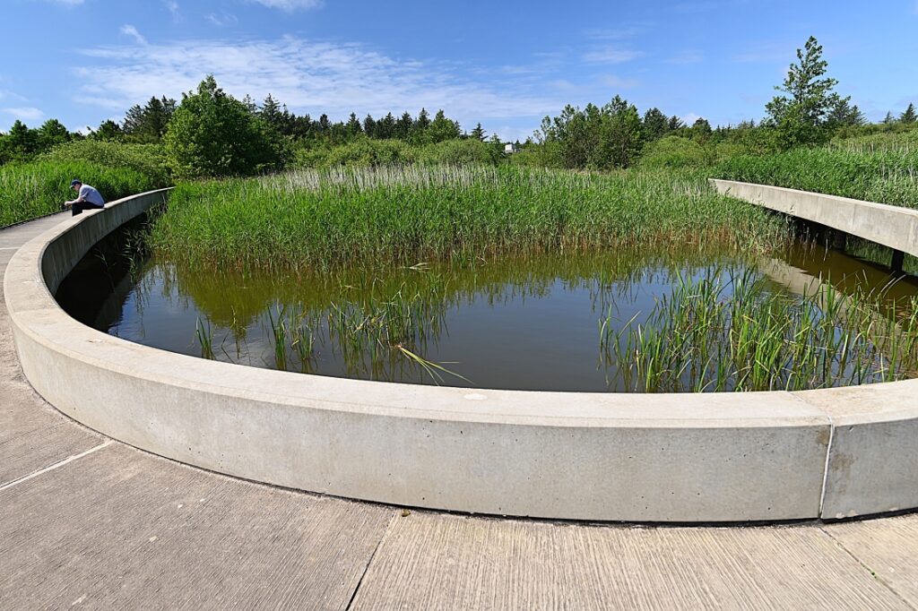 Filsø Naturjuwel