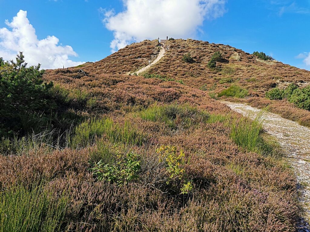 Aussichtsdüne Gråmulebjerg