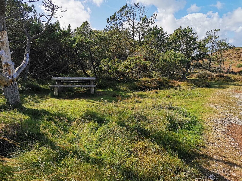 Kærgård Klitplantage