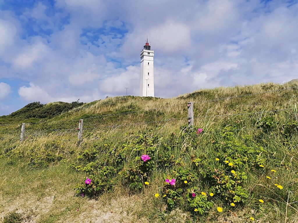 Westjütland Highlights