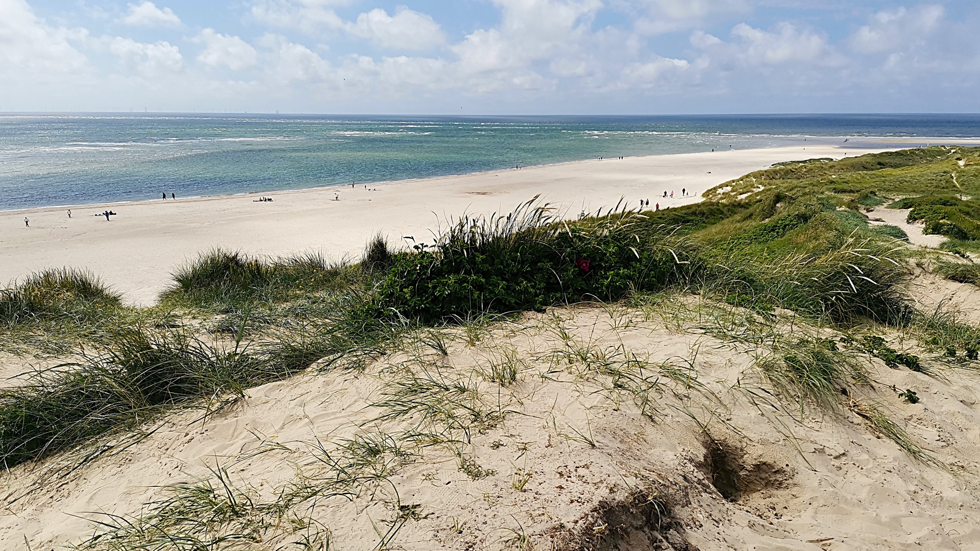 Dänemark Reiseblog Kategorie