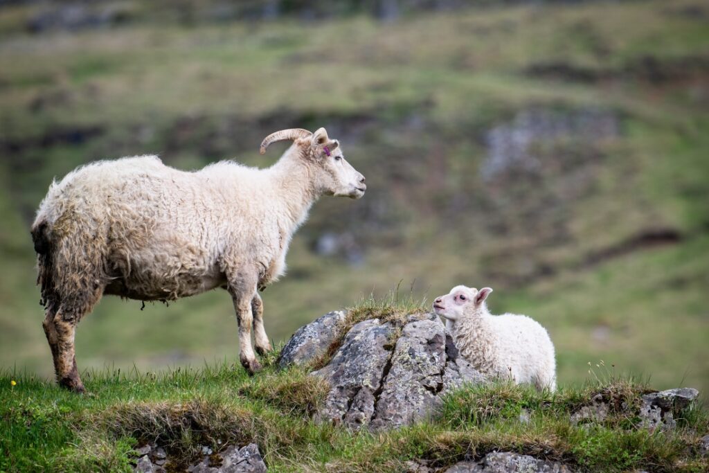 Reise Bucket List Island