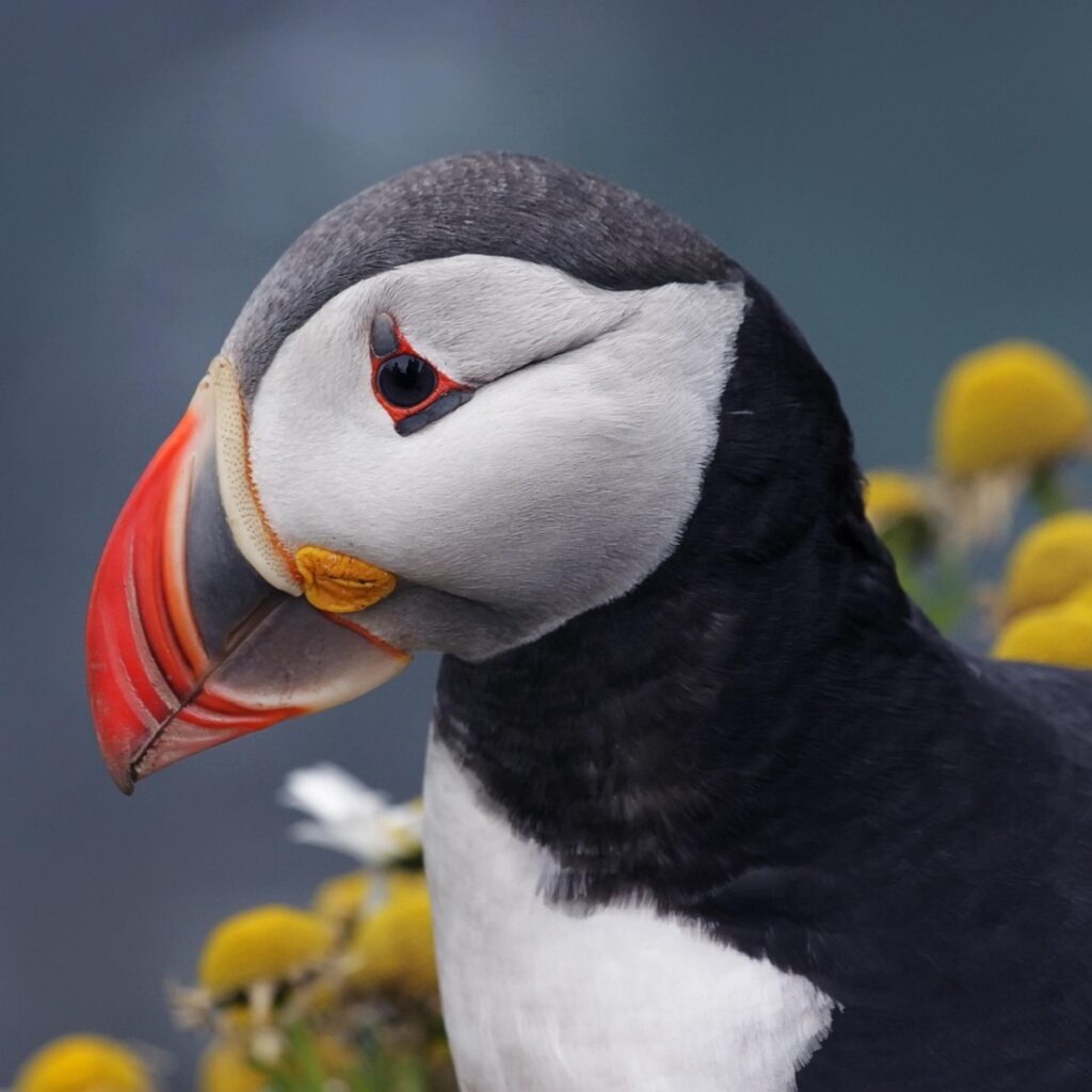 Reise Bucket List Island