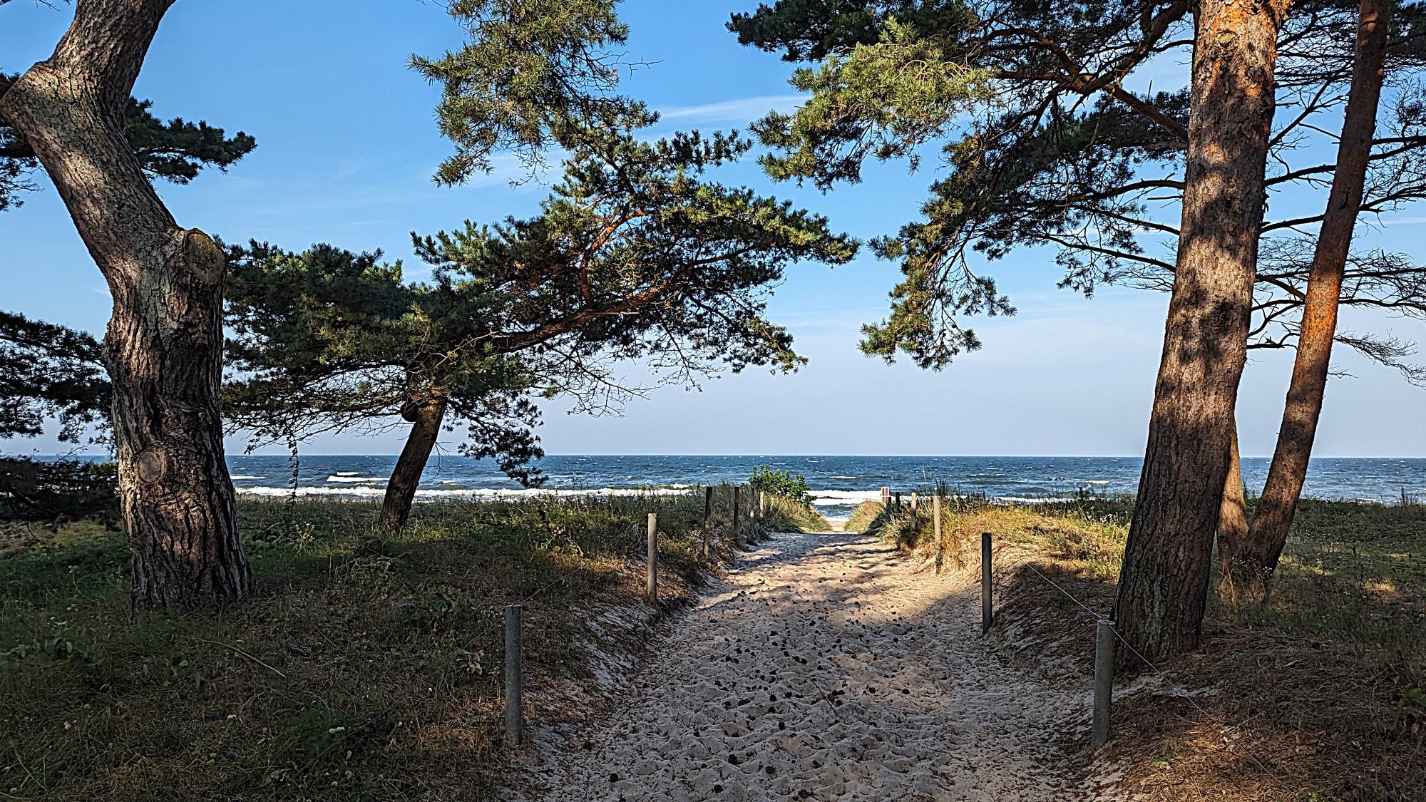 Mecklenburg-Vorpommern Reiseblog Kategorie