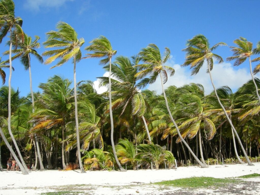 Reise Bucket List Martinique