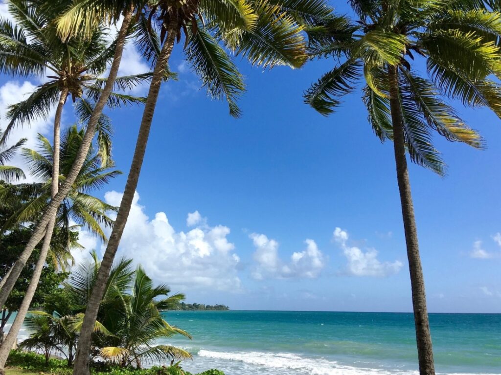 Reise Bucket List Martinique