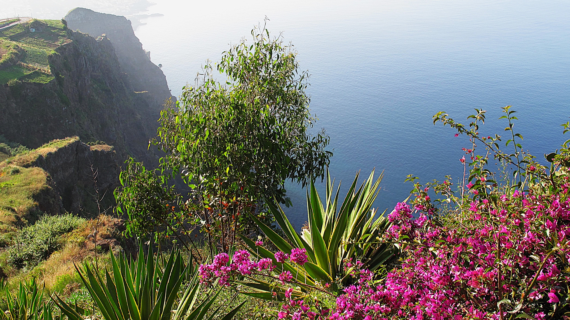 Portugal Reiseblog Kategorie