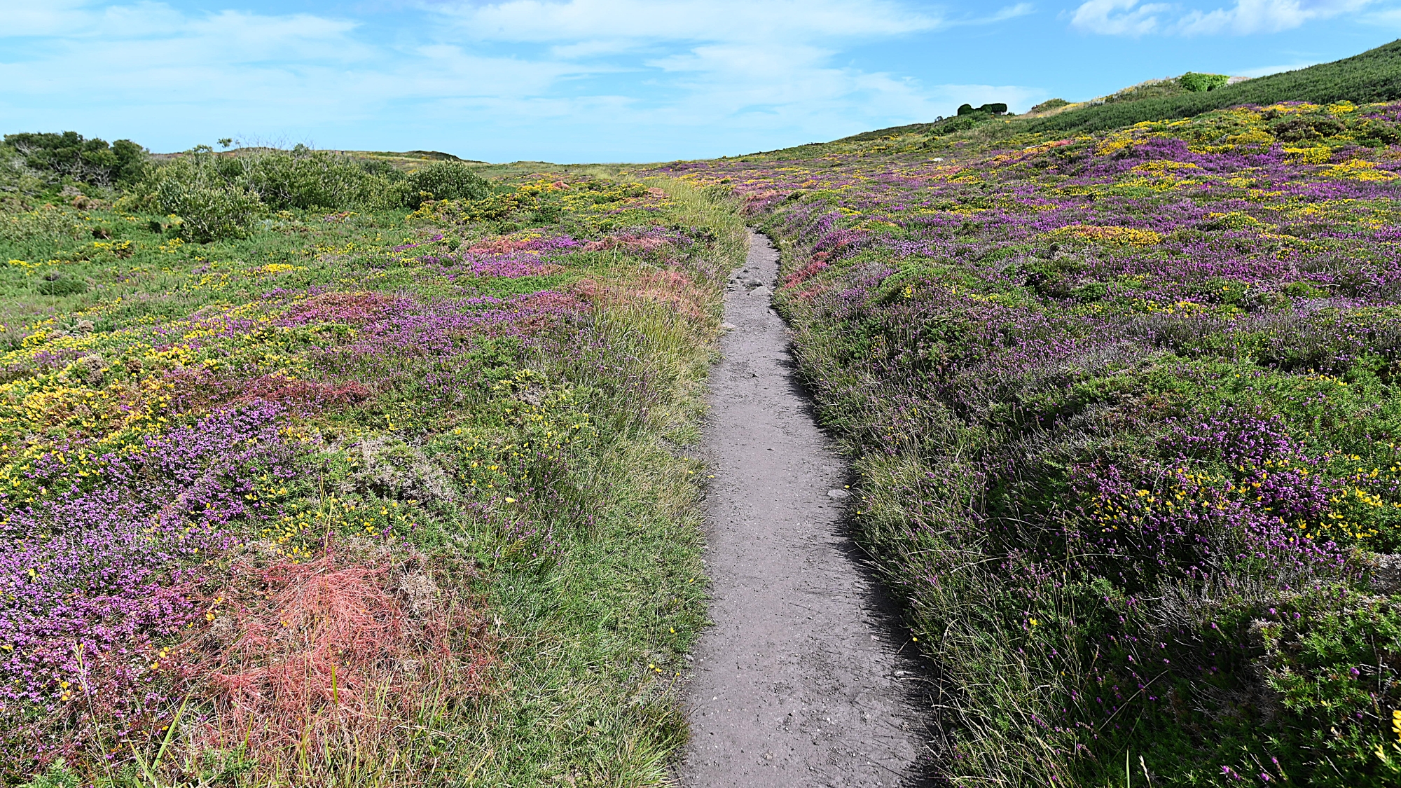 Wanderungen Reiseblog Kategorie