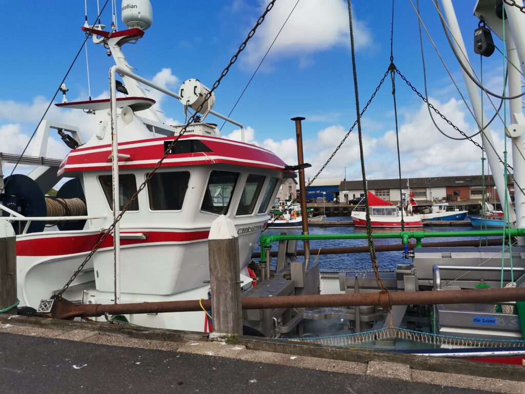 Ferienhaus in Dänemark mieten